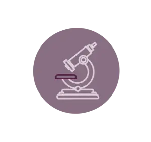 Accurate Research Tools For Analysis