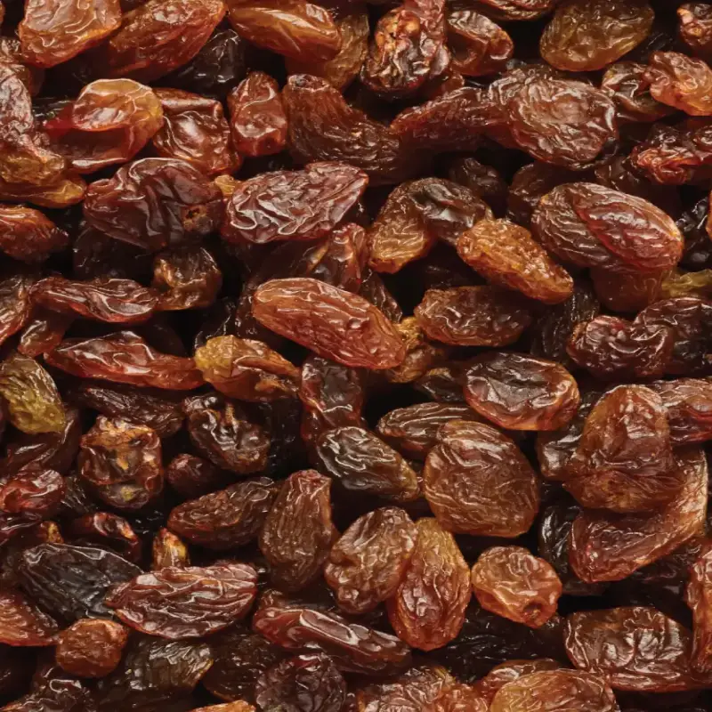 Malayar A Raisins